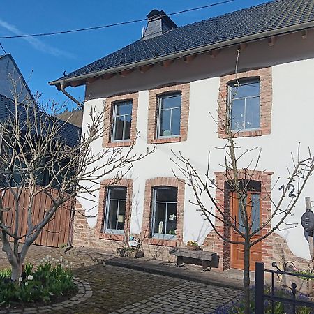Eifler Brunnenhaus Vila Dumpelfeld Exterior foto